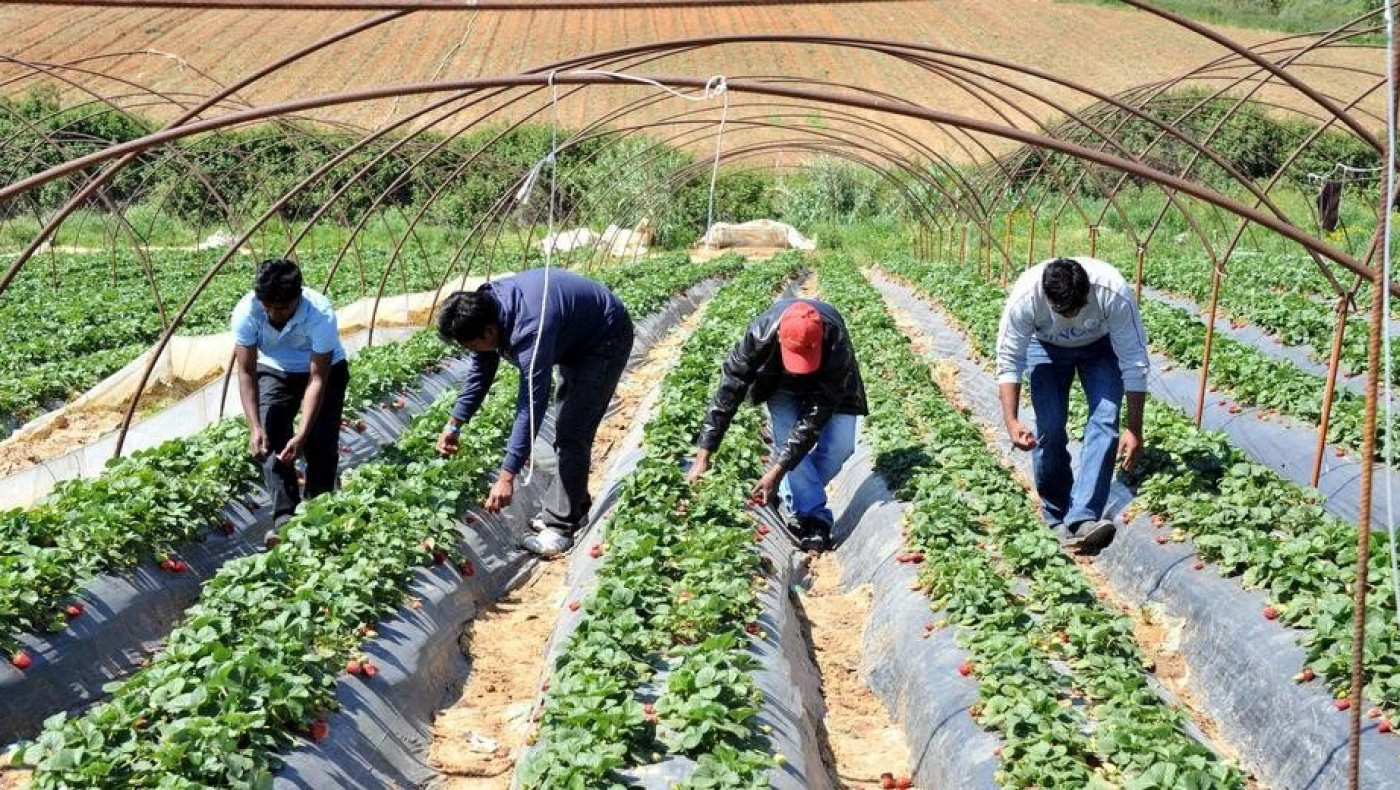 Κενές θέσεις εργασίας: 167.925 μετακλήσεις εργαζομένων από τρίτες χώρες - Η κατανομή των θέσεων ανά κλάδο