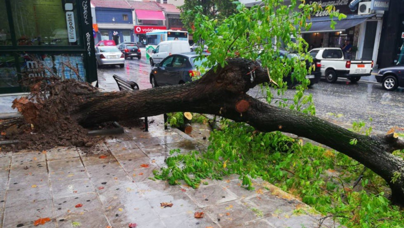 Θεσσαλονίκη: Μπλακ άουτ στη Χαριλάου από πτώση δέντρου