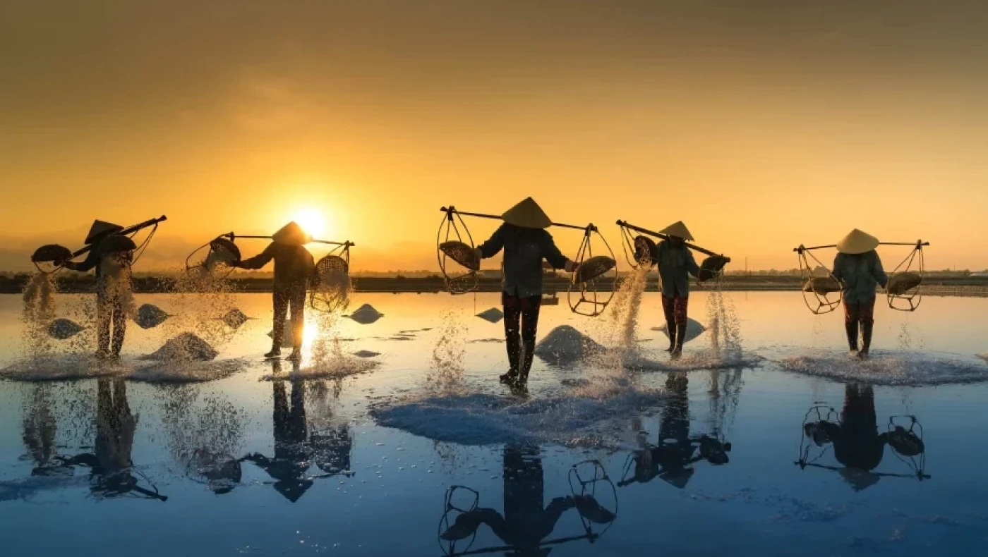 Ποια είναι τα νέα «πράσινα επαγγέλματα»