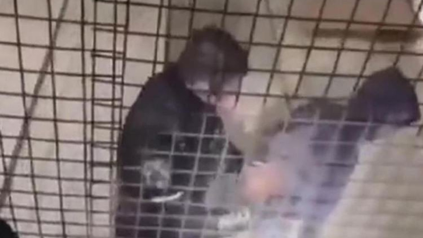 Διάρρηξη σε αποθήκη στην Ομόνοια