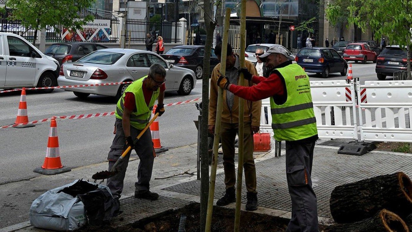 Αναβαθμίζεται το πράσινο στον άξονα της Τσιμισκή – Νέα δέντρα στη θέση των άρρωστων και επικίνδυνων φτελιών