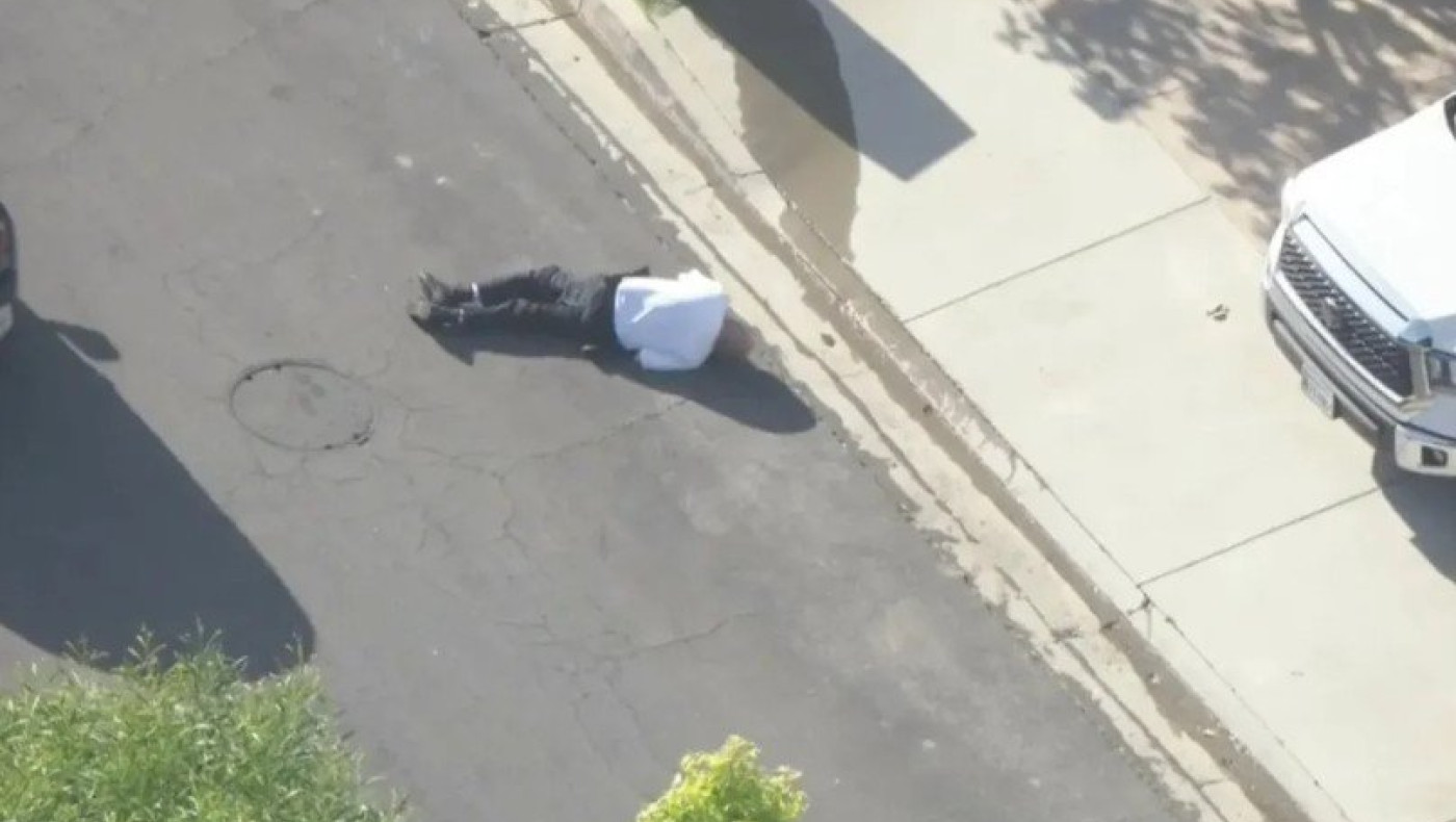 HΠΑ: Μέλισσες επιτέθηκαν σε αστυνομικό!