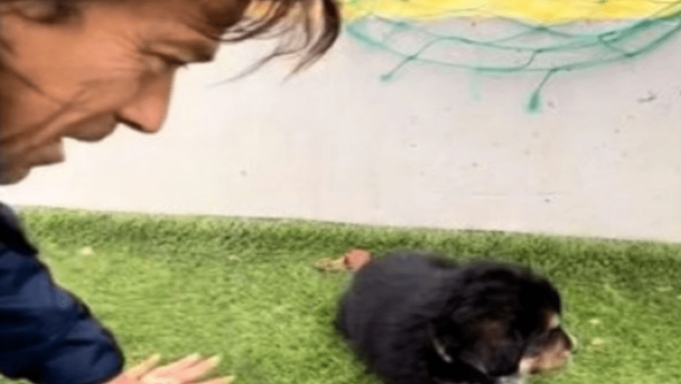 Συγκινεί ο Αλμέιδα, υιοθέτησε σκυλί που βρήκε στα Σπάτα!