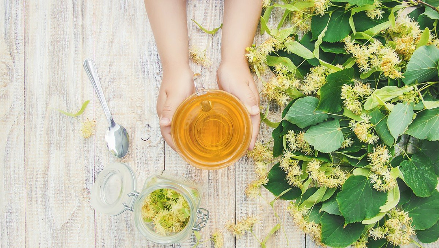 Το δημοφιλές βότανο που μειώνει το σάκχαρο, καταπολεμά τη φλεγμονή και θωρακίζει το έντερο