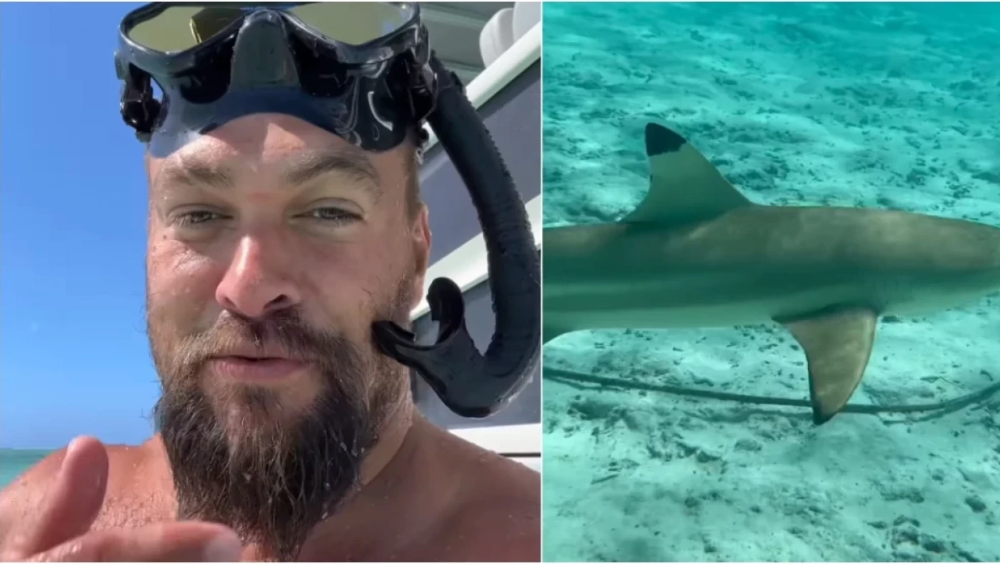 Ατρόμητος ο Τζέισον Μομοά- Κολυμπάει άνετος μαζί με... καρχαρίες
