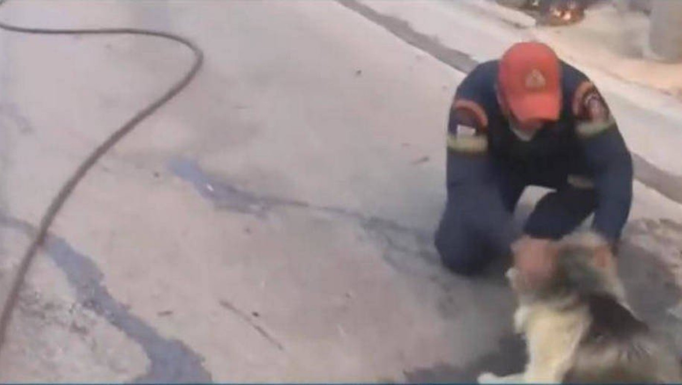 Συγκινητικό βίντεο: Πυροσβέστες παρηγορούν φοβισμένο σκύλο στη φωτιά στην Αττική (vid)