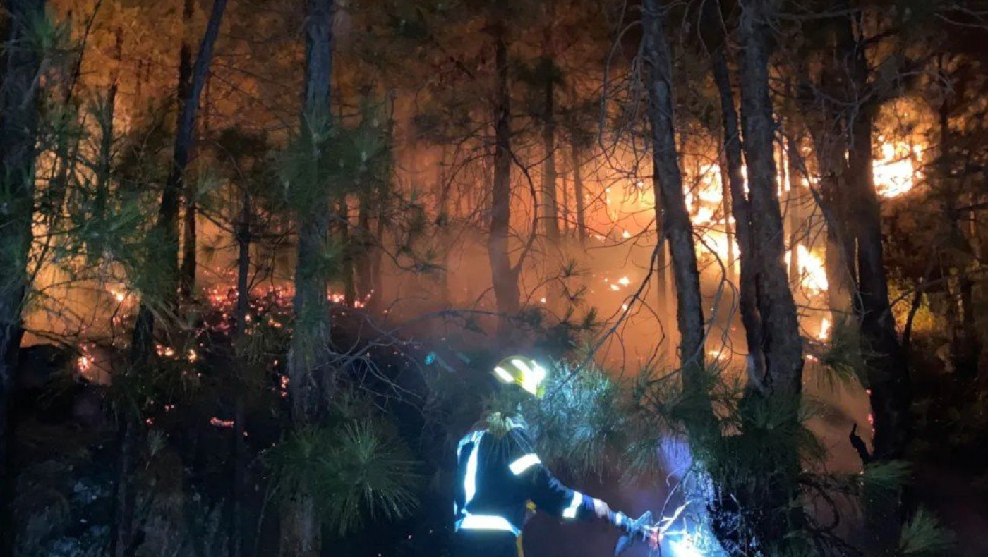 Ένωση αιολικής ενέργειας: Θεωρίες συνωμοσίας η σύνδεση ανεμογεννητριών με τις πυρκαγιές