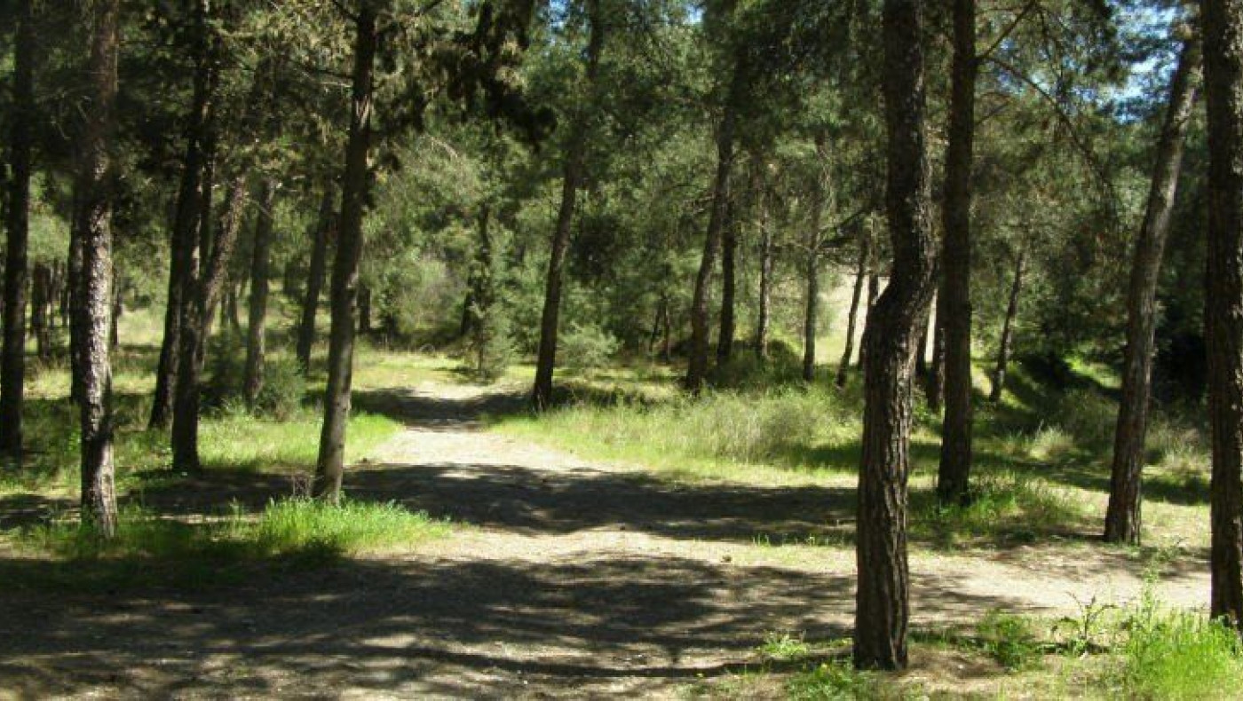 Θεσσαλονίκη: Απαγόρευση κυκλοφορίας σε δασικές εκτάσεις λόγω κινδύνου πυρκαγιάς