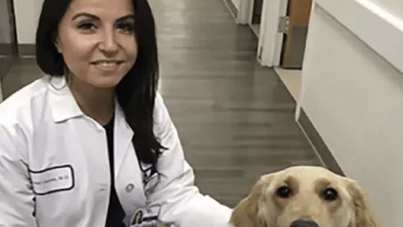 Σοκ στη Νέα Υόρκη: Διακεκριμένη ογκολόγος πυροβόλησε και σκότωσε το μωρό της