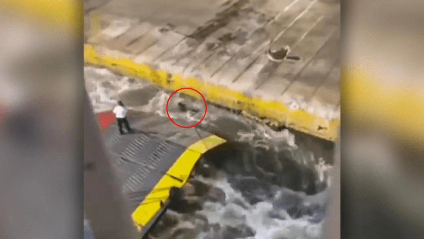 Νταλακογεωργός﻿: «Υπάρχει παραβίαση των κανόνων - Δεν τηρήθηκαν ούτε οι διαδικασίες διάσωσης»