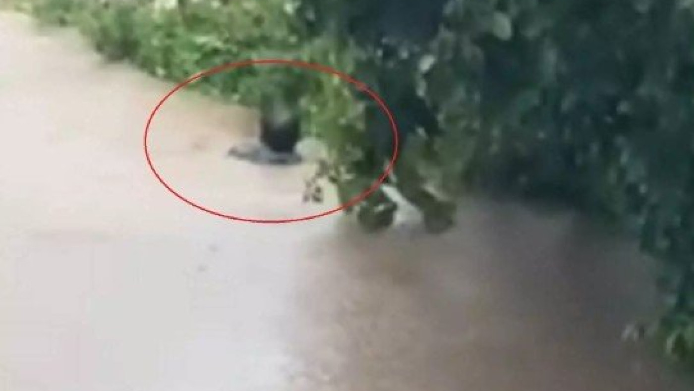 Κακοκαιρία Daniel – Σκιάθος: Ο δήμαρχος βουτάει για να σώσει την αδερφή του (vid)