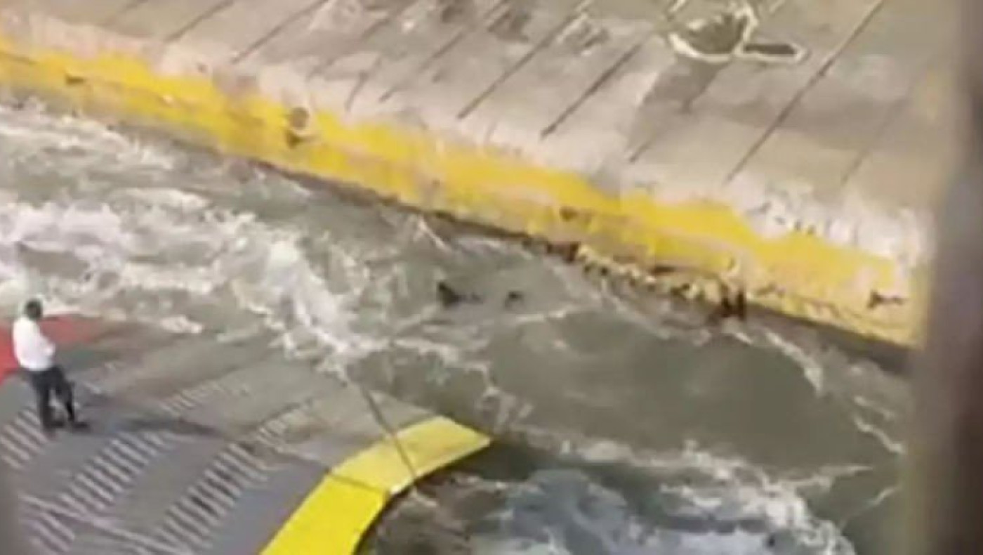 ΑΠΟΚΑΛΥΨΗ: Γιατί έφυγε από το πόστο του ο λιμενικός, πριν σπρώξουν τον Αντώνη