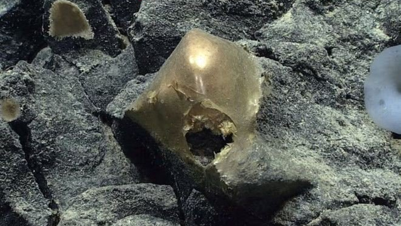 Αλάσκα: «Πέπλο» μυστηρίου με την εύρεση «δερμάτινης» χρυσής σφαίρας στον ωκεανό