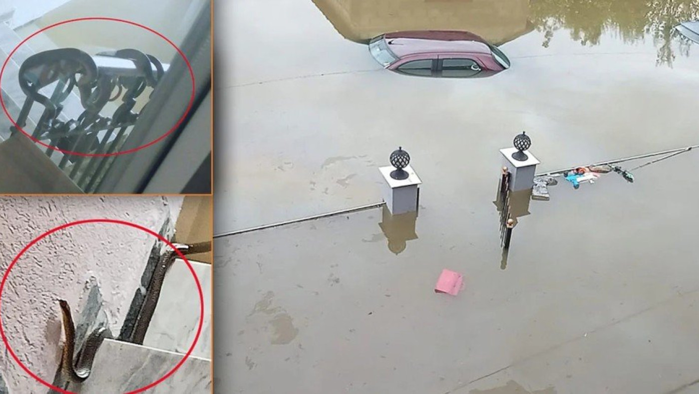 Μαραθέα Καρδίτσας: Δραματική έκκληση για 15 εγκλωβισμένους - Ανεβαίνουν τα νερά αλλά και τα φίδια!