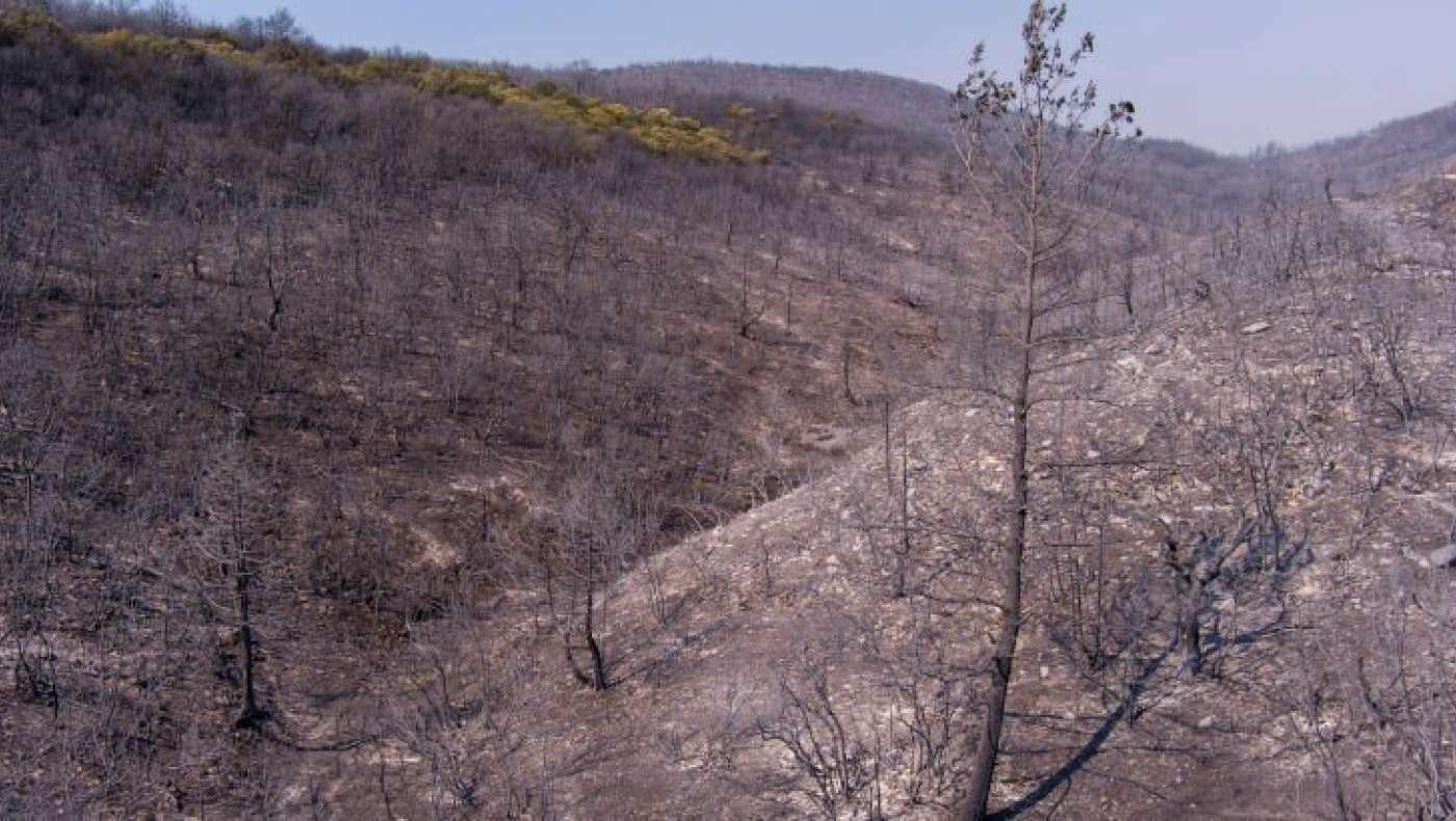 Πρόεδρος ΕΠΣ Έβρου: «Μαύρισε η ψυχή μας από την καταστροφή»
