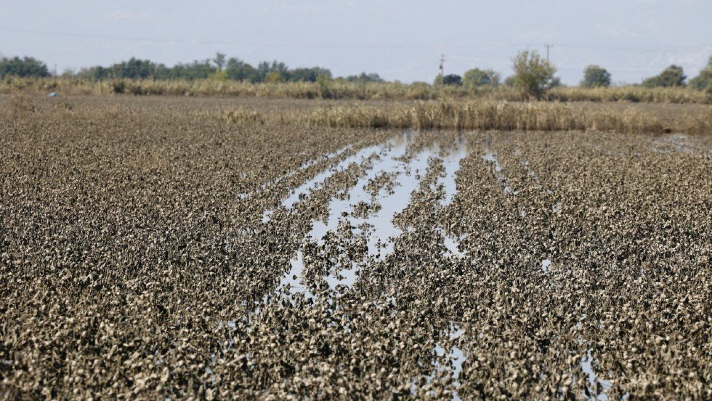 Θεσσαλία: Τι γίνεται με τις καλλιέργειες και τις αποζημιώσεις μετά τις πλημμύρες