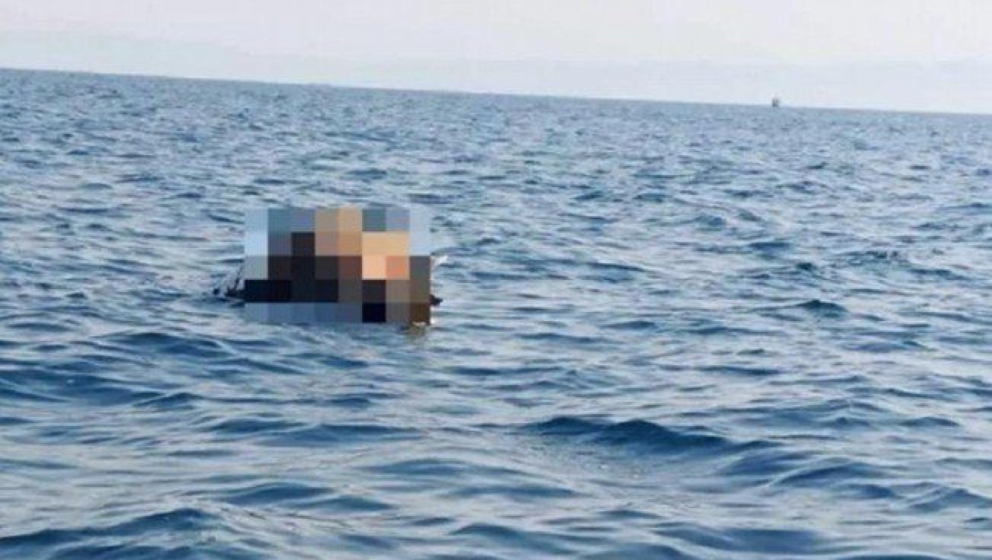 Θεσσαλονίκη: Νεκρή αγελάδα επέπλεε στον Θερμαϊκό