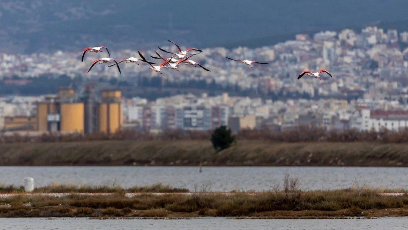 Θεσσαλονίκη: Το Καλοχώρι μετατρέπεται σε επιχειρηματικό πάρκο εξυγίανσης -Υπεγράφη η ΚΥΑ