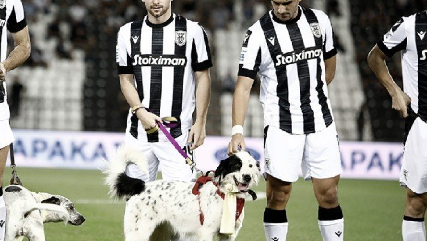 ΠΑΟΚ: «Σώσε μια ζωή, υιοθέτησε ένα αδέσποτο»