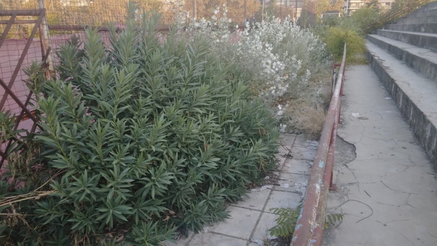 Τένις: Τα σωματεία της Θεσσαλονίκης εκπέμπουν SOS (pics)