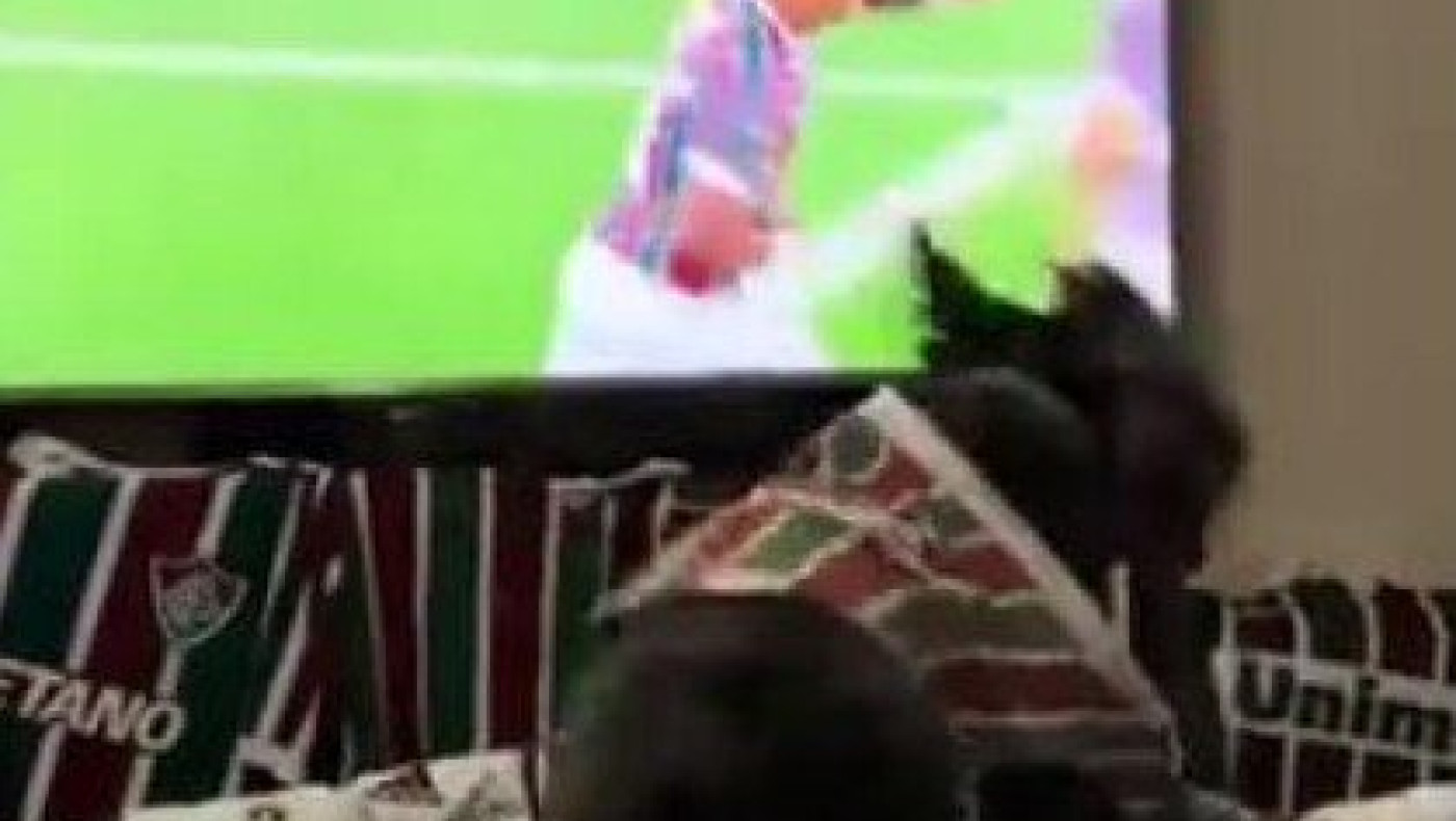 Απίθανο: Σκύλος πανηγυρίζει το γκολ της Φλουμινένσε! (vid)