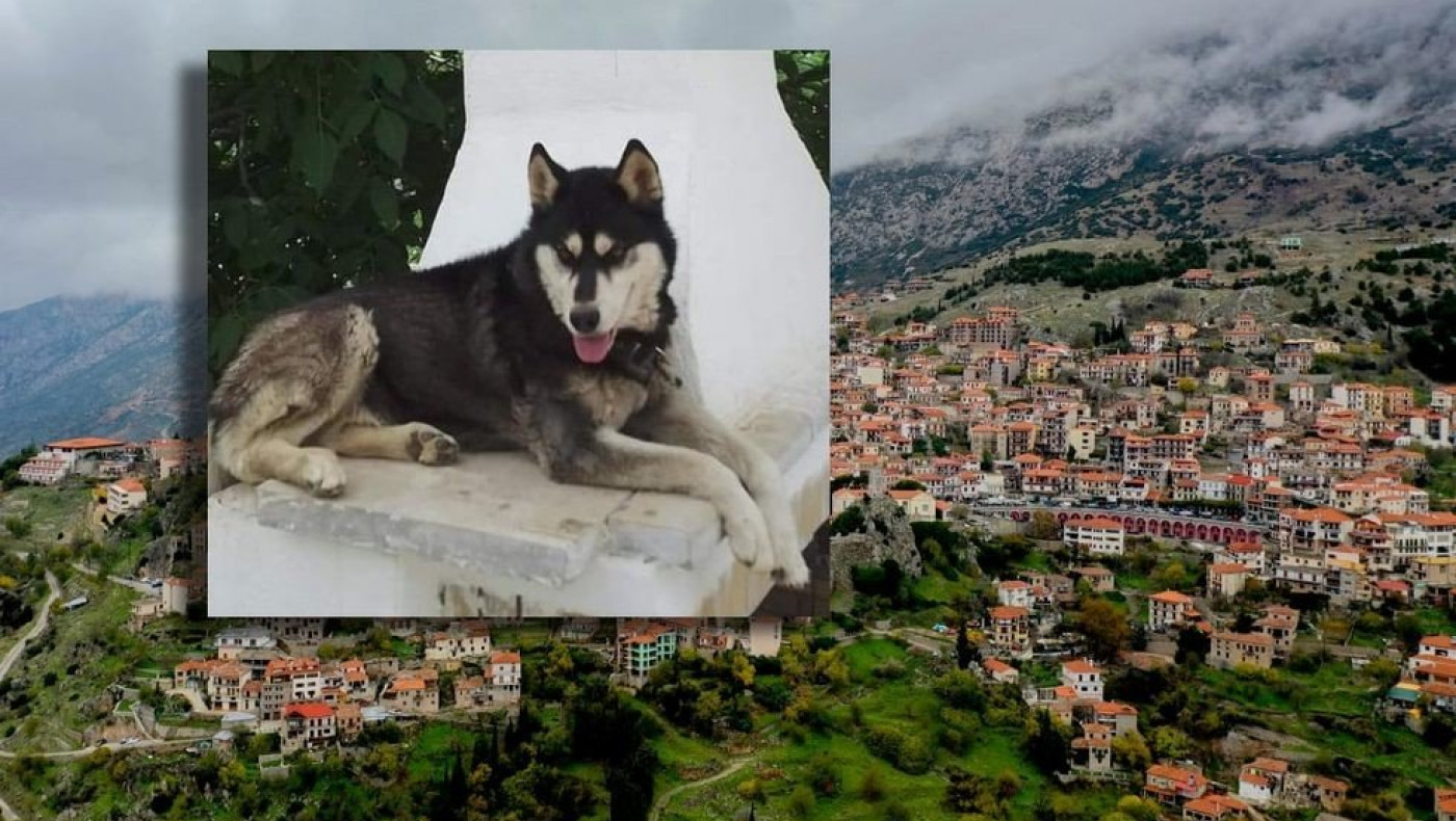 Αράχωβα: Στο κάδρο της ΕΛ.ΑΣ. οι πρώτοι ύποπτοι για τον βασανισμό του «Ολιβερ»