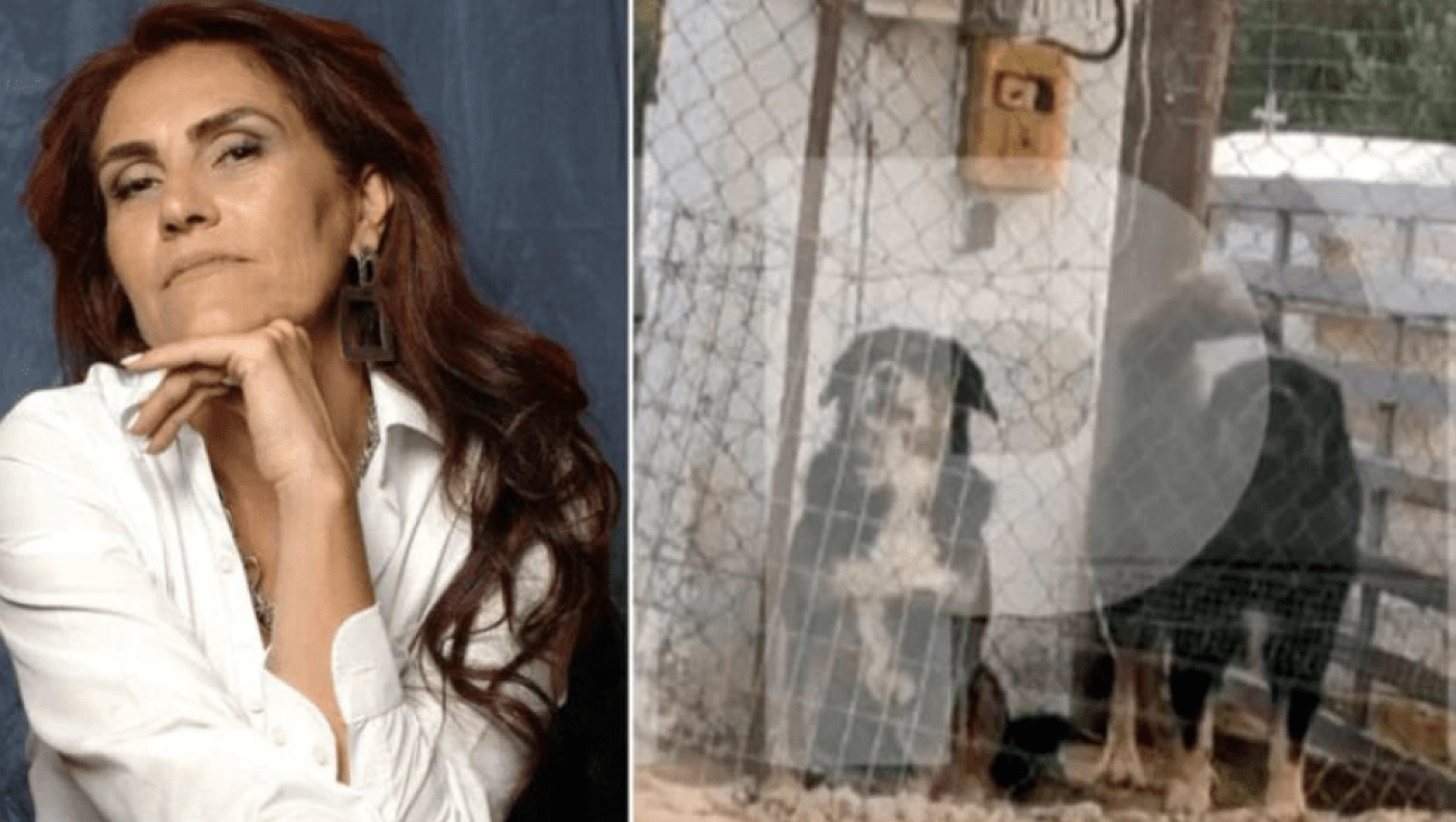 Θεσσαλονίκη: Στη φυλακή ο ιδιοκτήτης των σκυλιών που κατασπάραξαν την 50χρονη