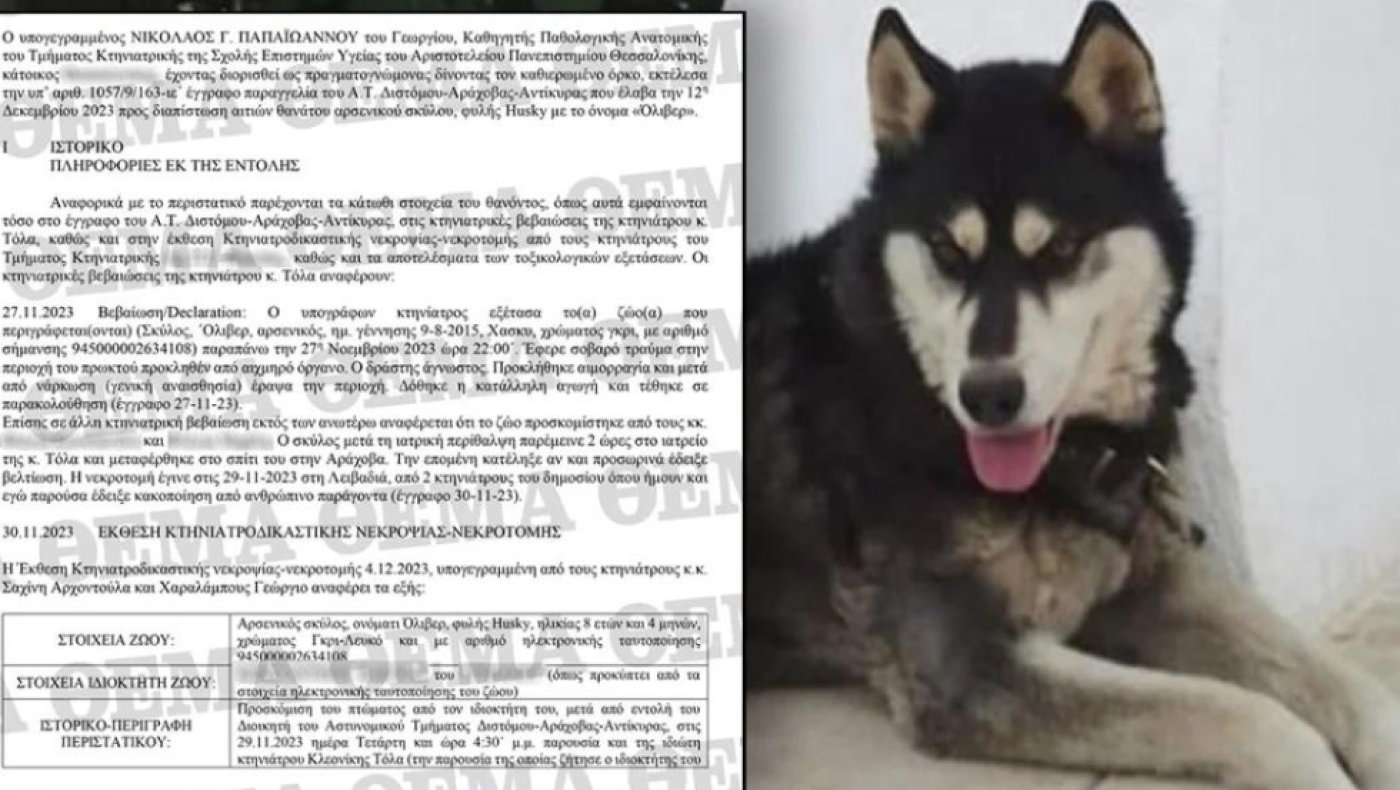 Αράχωβα: Το πόρισμα του πραγματογνώμονα που όρισε η ΕΛΑΣ για τον Όλιβερ - «Δεν τεκμαίρεται κακοποίηση από άνθρωπο»