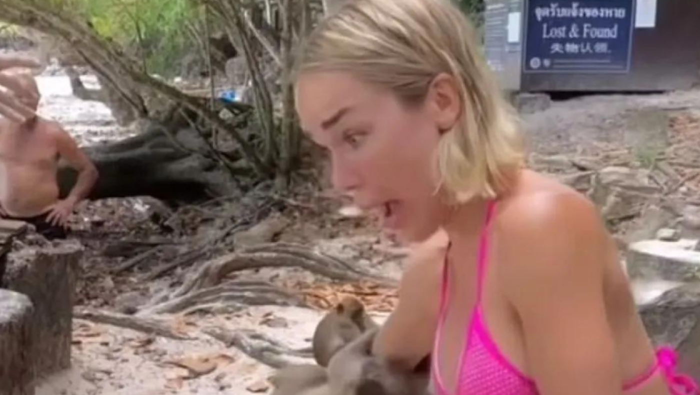 Μοντέλο από τη Γερμανία δέχθηκε επίθεση από μαϊμούδες στην Ταϊλάνδη