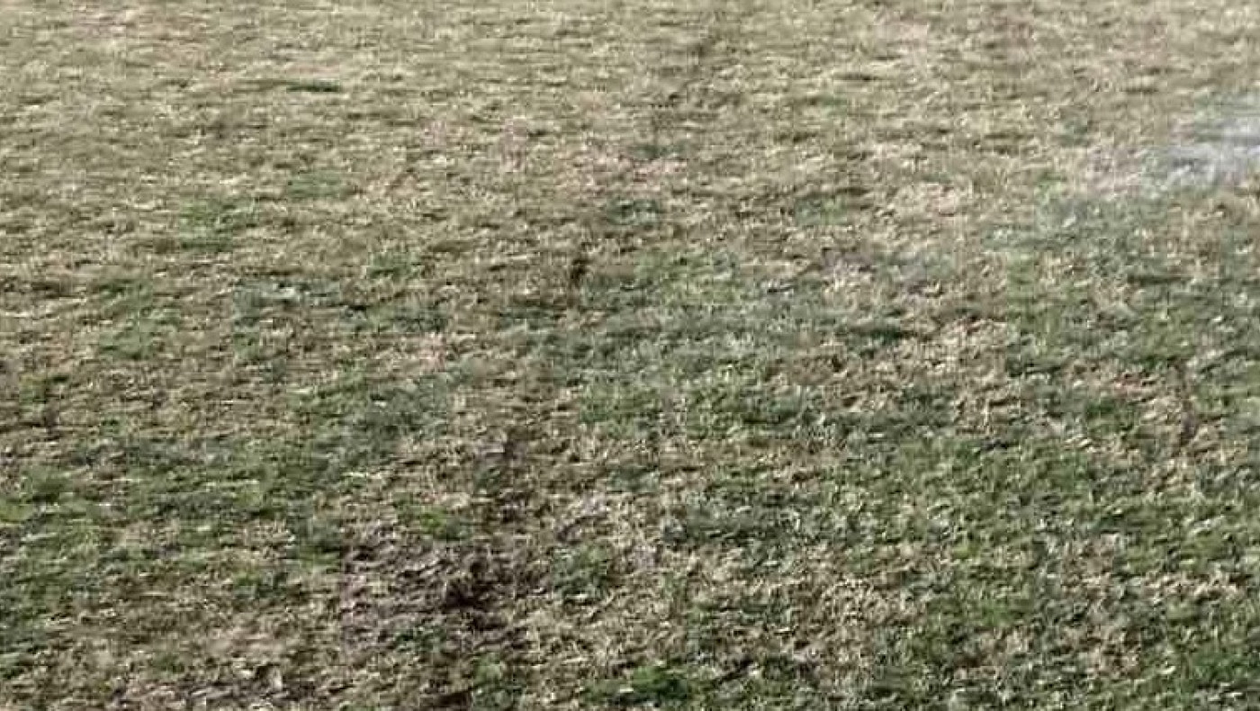 Σπινιαρίσματα στο γήπεδο της Ελεούσας: «Να μην βανδαλίζουν το γήπεδο και το χαλάνε»