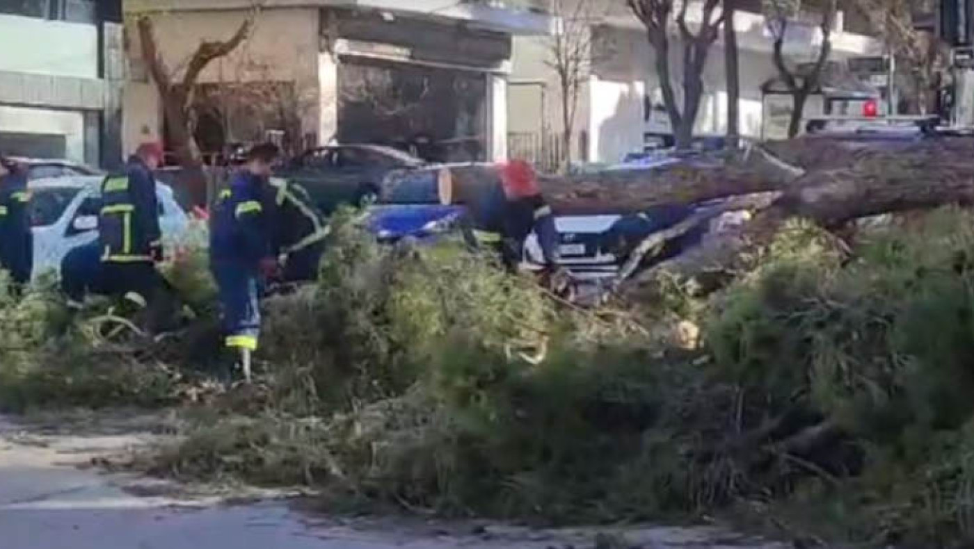 Θεσσαλονίκη: Πτώσεις δέντρων λόγω των σφοδρών ανέμων - Πού προκλήθηκε πρόβλημα
