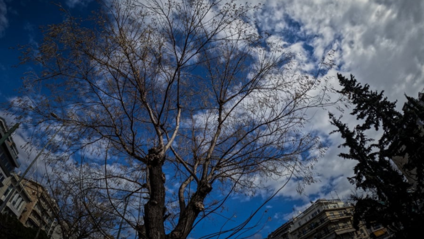 Μετά το ψύχος... καλοκαίρι: Ο Ωμέγα Εμποδιστής φέρνει Αλκυονίδες διαρκείας