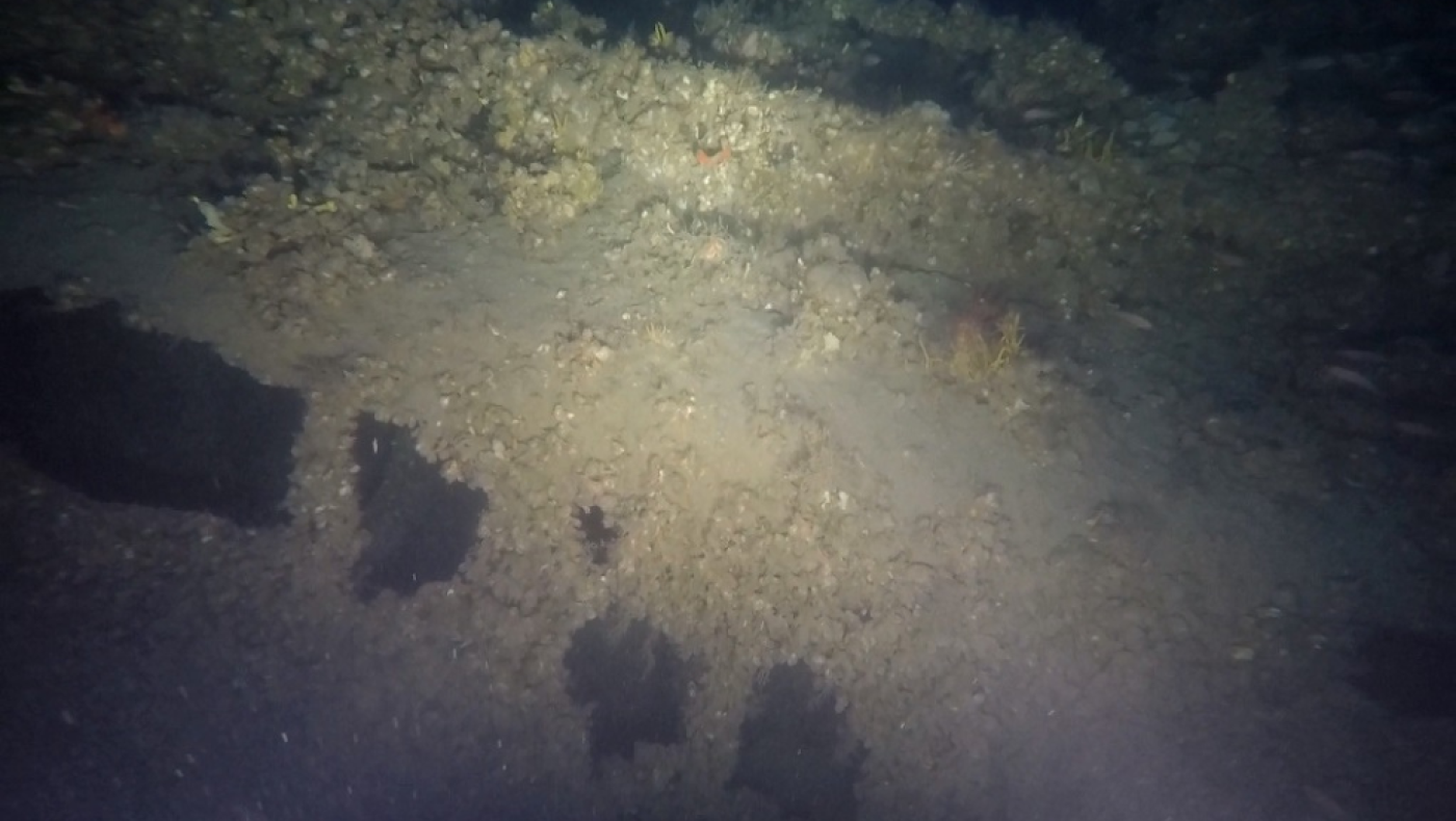 Γαλλικό υποβρύχιο από τον Α’ Παγκόσμιο Πόλεμο εντοπίστηκε στον Θερμαϊκό (ΦΩΤΟ)