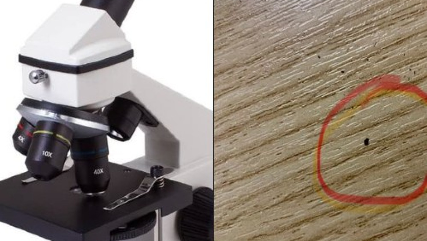 Ο μετεωρολόγος Γιώργος Τσατραφύλλιας αφήνει αιχμές για τις προγνώσεις για κύμα αφρικανικής σκόνης!