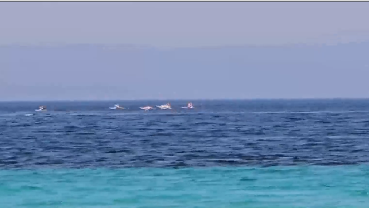 Χαλκιδική: Φλαμίνγκο εμφανίστηκαν στην Τρανή Αμμούδα (vid)