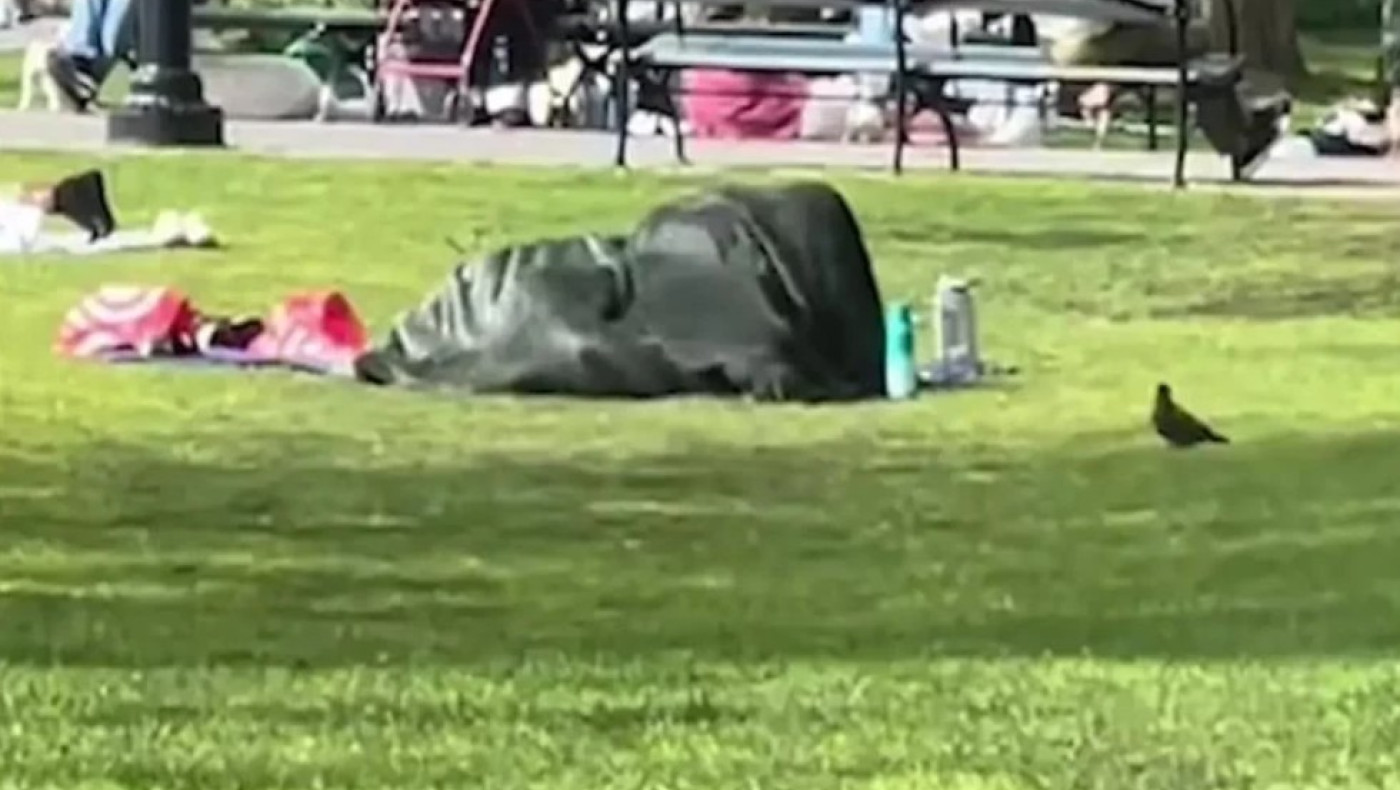 Ασυγκράτητο ζευγάρι στη Νέα Υόρκη έκανε σεξ στη μέση πάρκου