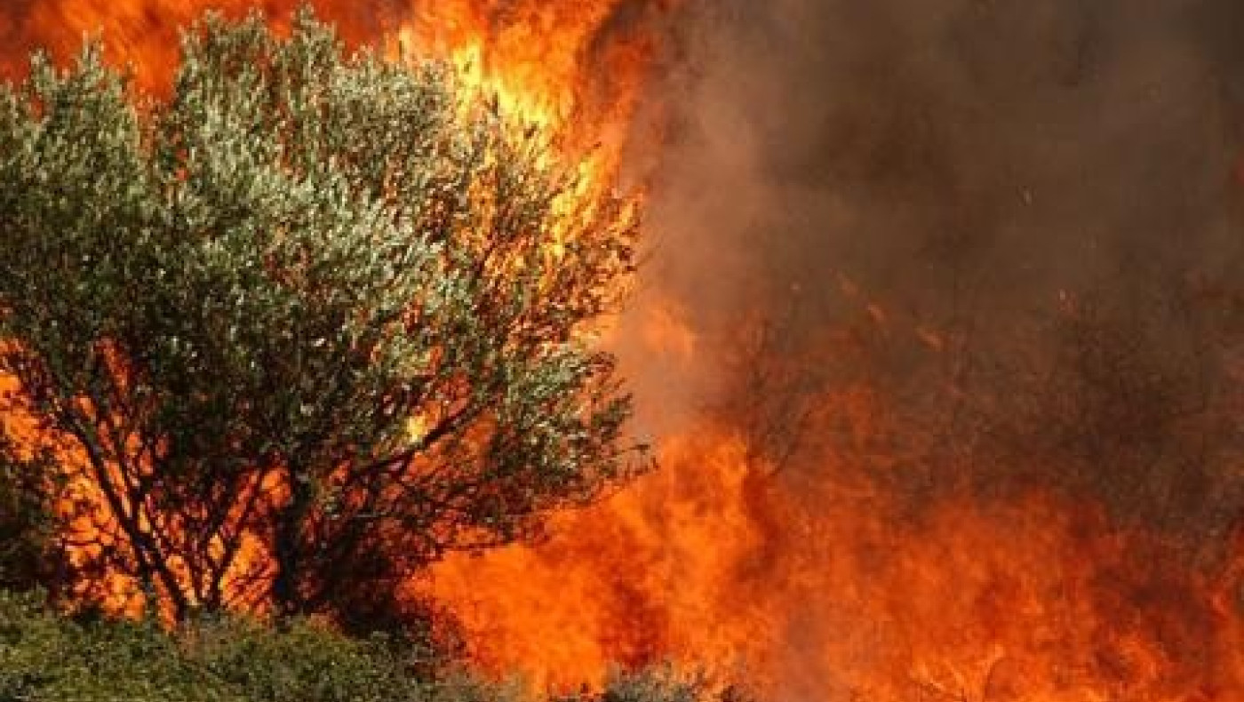 Μεγάλη πυρκαγιά στη Μεσσηνία - Εκκενώθηκαν 4 οικισμοί