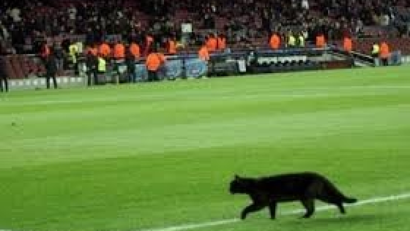 Μαύρη γάτα στο «Καμπ Νου» (video)