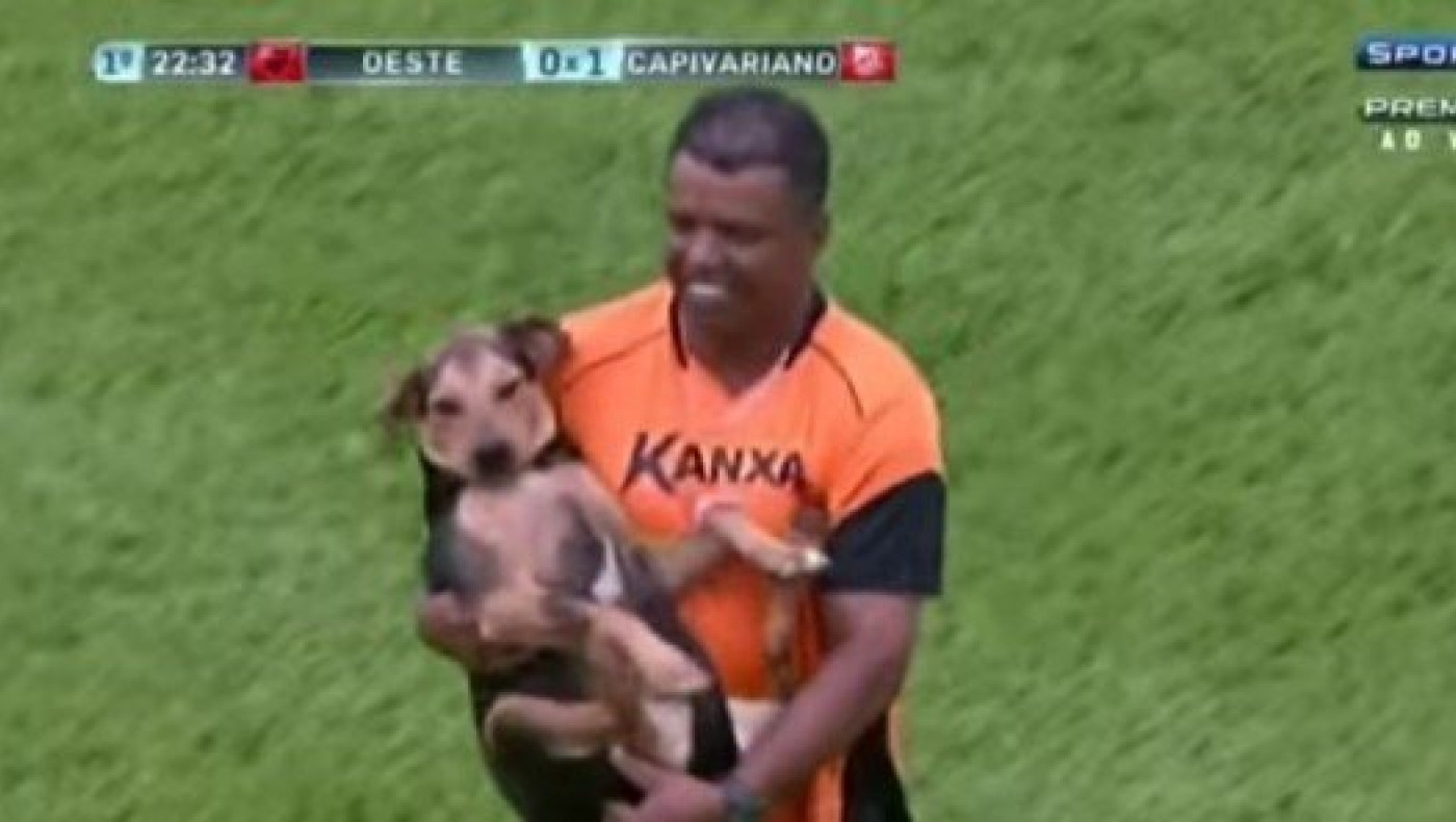 Σκύλος έκανε τη βόλτα του κατά τη διάρκεια αγώνα στη Βραζιλία (VIDEO)