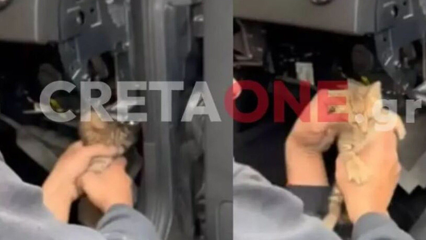 Κρήτη: Γατάκι «τρύπωσε» σε αεραγωγό καλοριφέρ ΙΧ (vid)