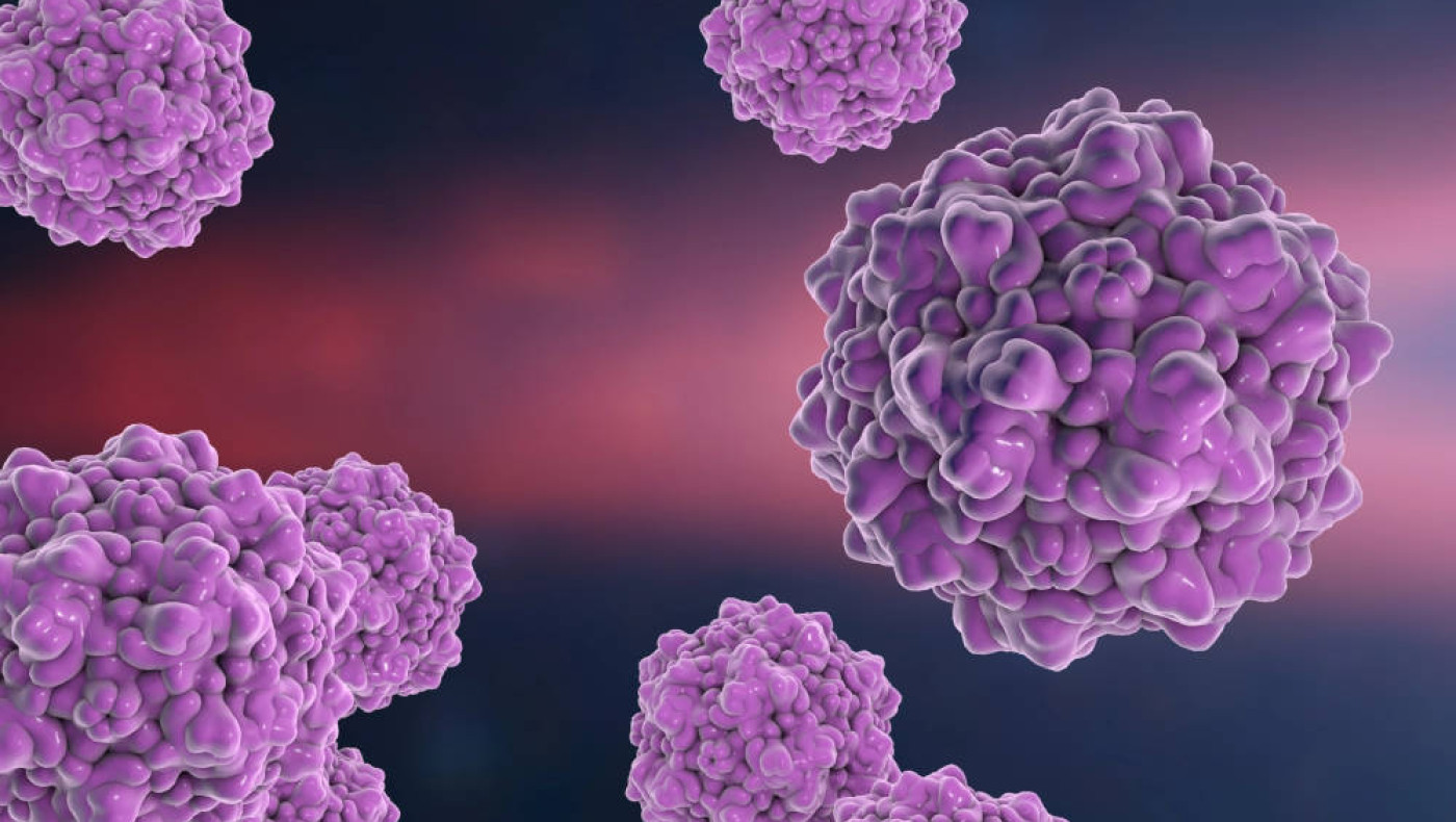 Τι είναι ο παρβοϊός που στοίχισε τη ζωή σε ένα κοριτσάκι 3,5 ετών - Ποια είναι τα συμπτώματα