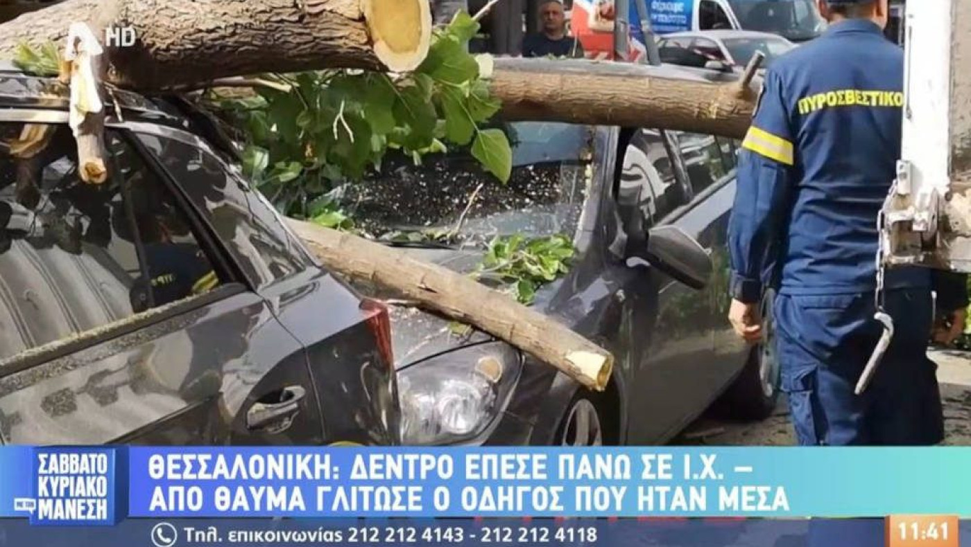 Θεσσαλονίκη: Δέντρο έπεσε πάνω σε αυτοκίνητο-Πώς γλίτωσε ο οδηγός