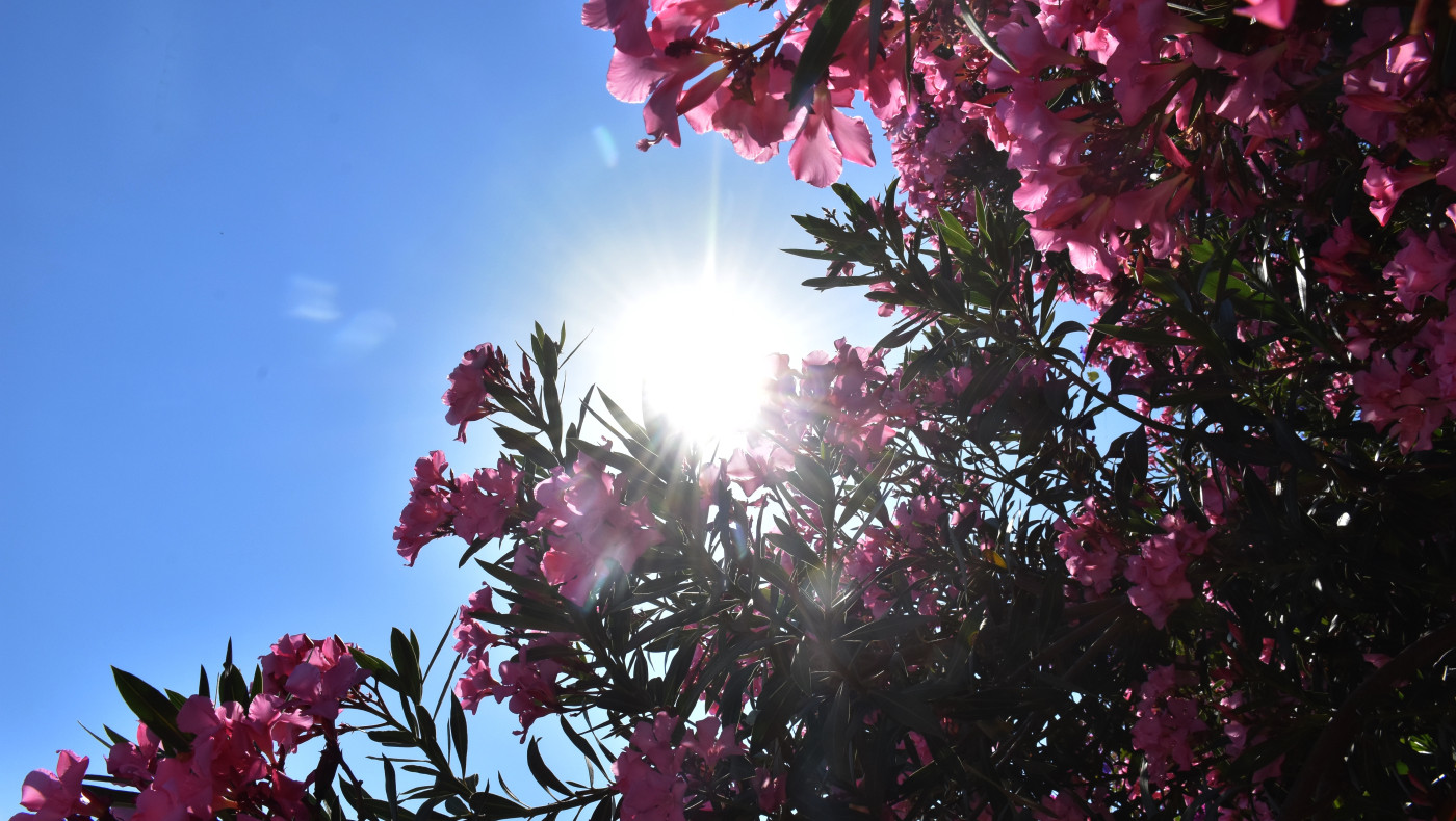 Καύσωνας: Ποια μέτρα προστασίας που ελήφθησαν ανά Υπουργείο
