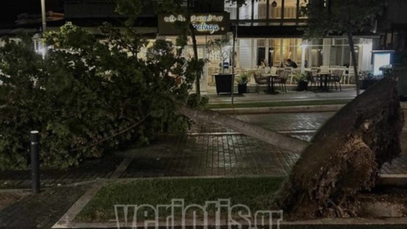 Βέροια: Κακοκαιρία-εξπρές «βραχυκύκλωσε» την πόλη- Έπεσαν δέντρα και κολόνες (vid)