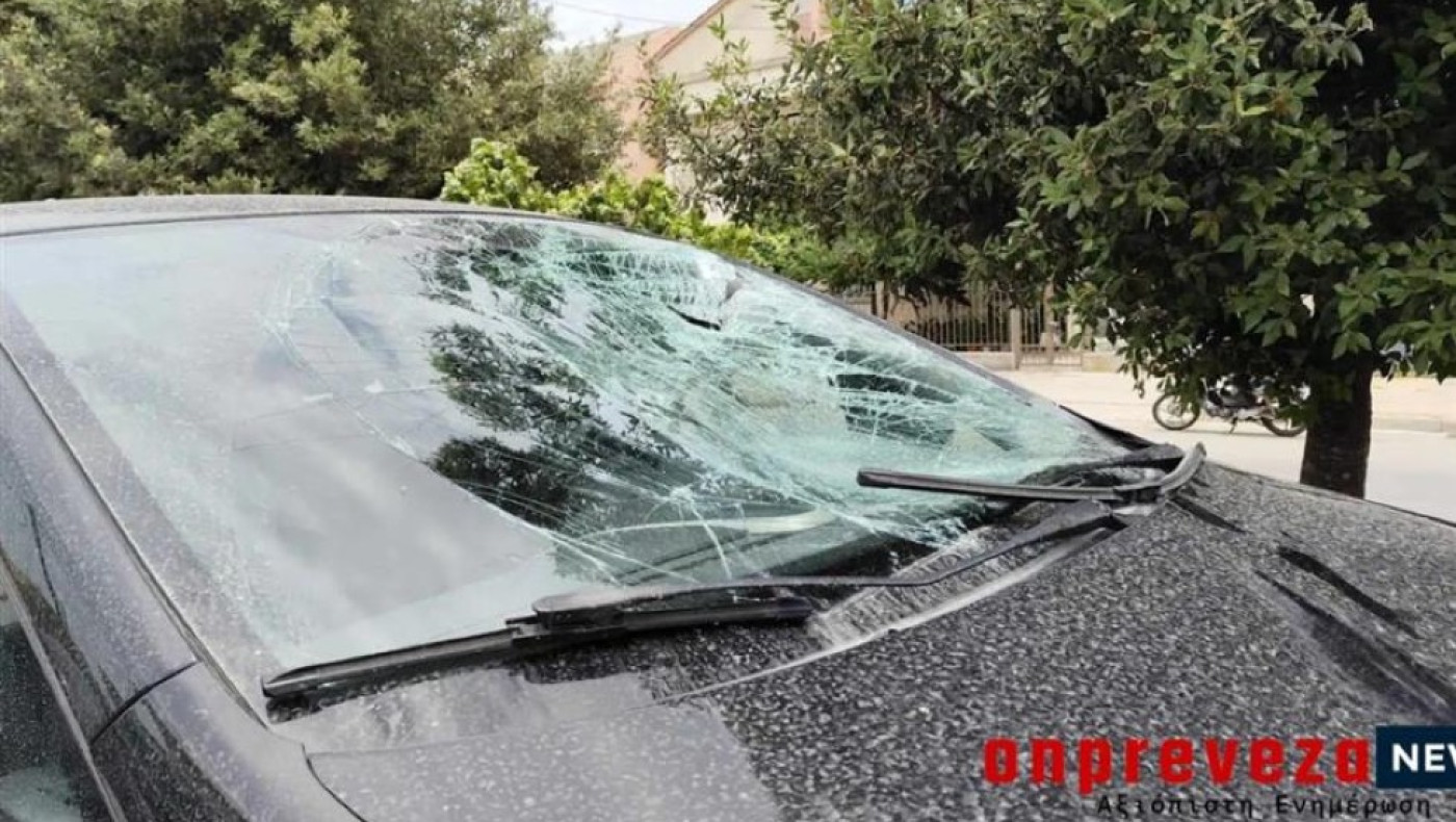 Πρέβεζα: Προσπάθησε να αποφύγει αδέσποτο σκύλο και τον χτύπησε αυτοκίνητο