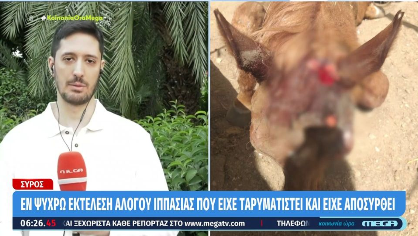 Σύρος: Κτηνώδια με εν ψυχρώ εκτέλεση αλόγου