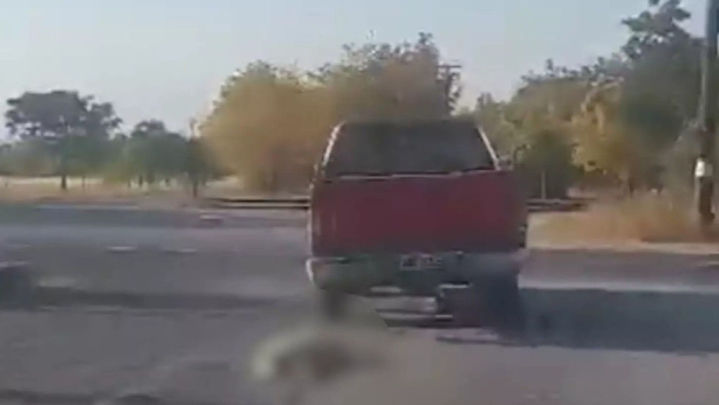 Κτηνωδία στην Ημαθία: Οδηγός αγροτικού έδεσε και έσυρε σκύλο στην άσφαλτο