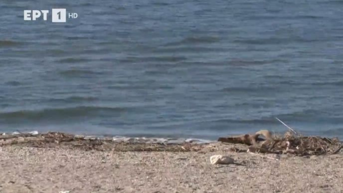 Σε ποιες παραλίες του Έβρου απαγορεύεται η κολύμβηση και γιατί