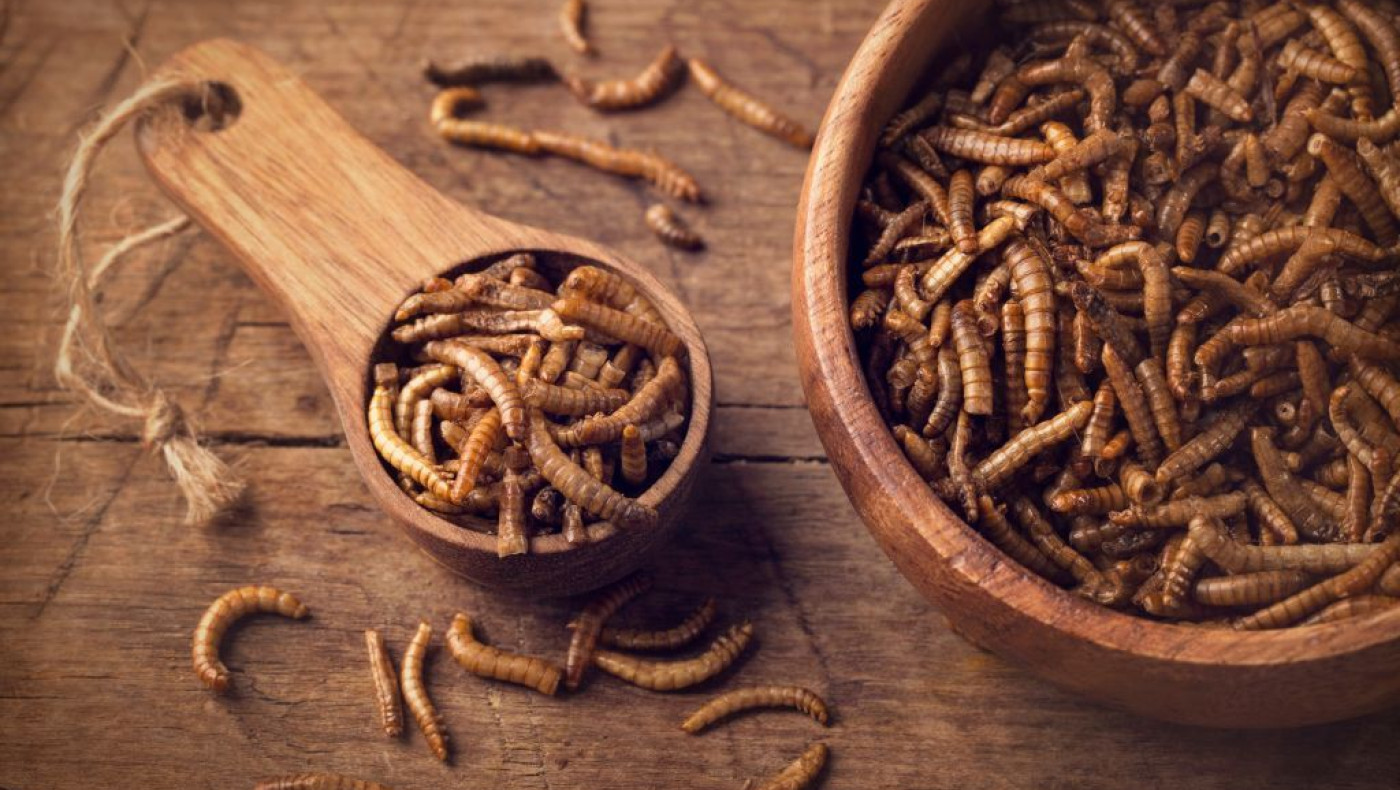 Τσερνόμπιλ: Στην «υπηρεσία» του ανθρώπου τα… σκουλήκια που εκτίθενται στην ακτινοβολία