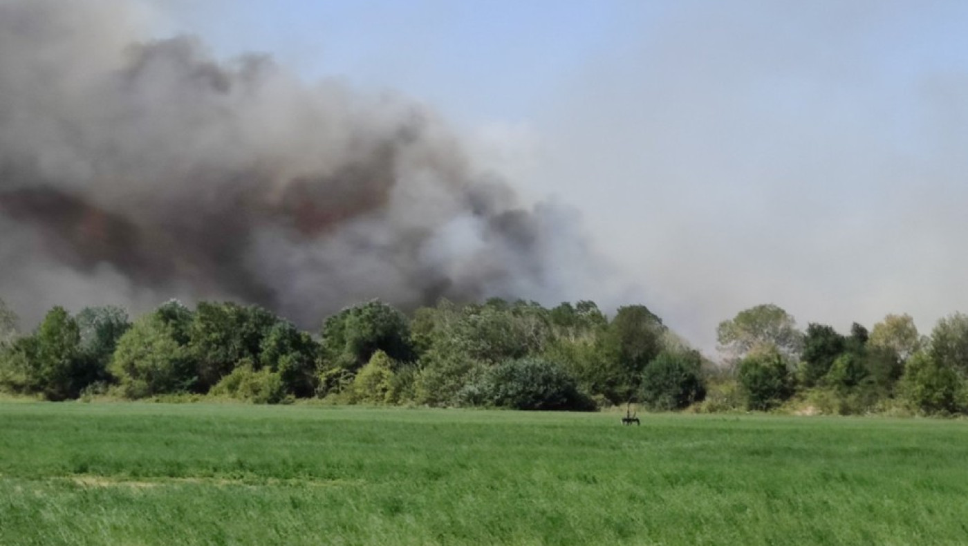 Κιλκίς: Σε εξέλιξη φωτιά στις Μουριές – Στη μάχη δύο αεροσκάφη και ελικόπτερο (video)